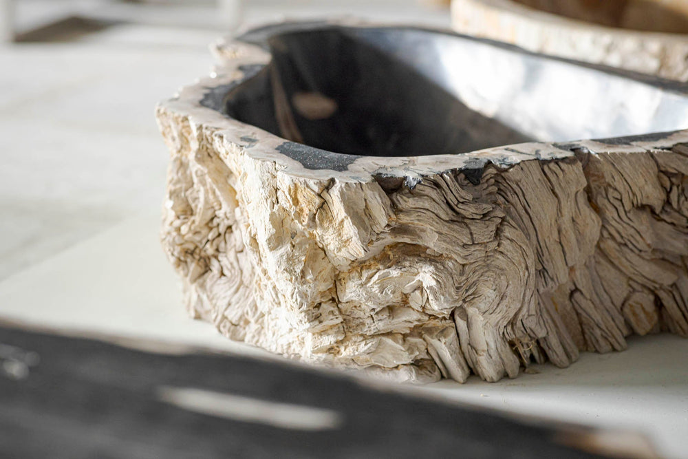 OAK Petrified Wood