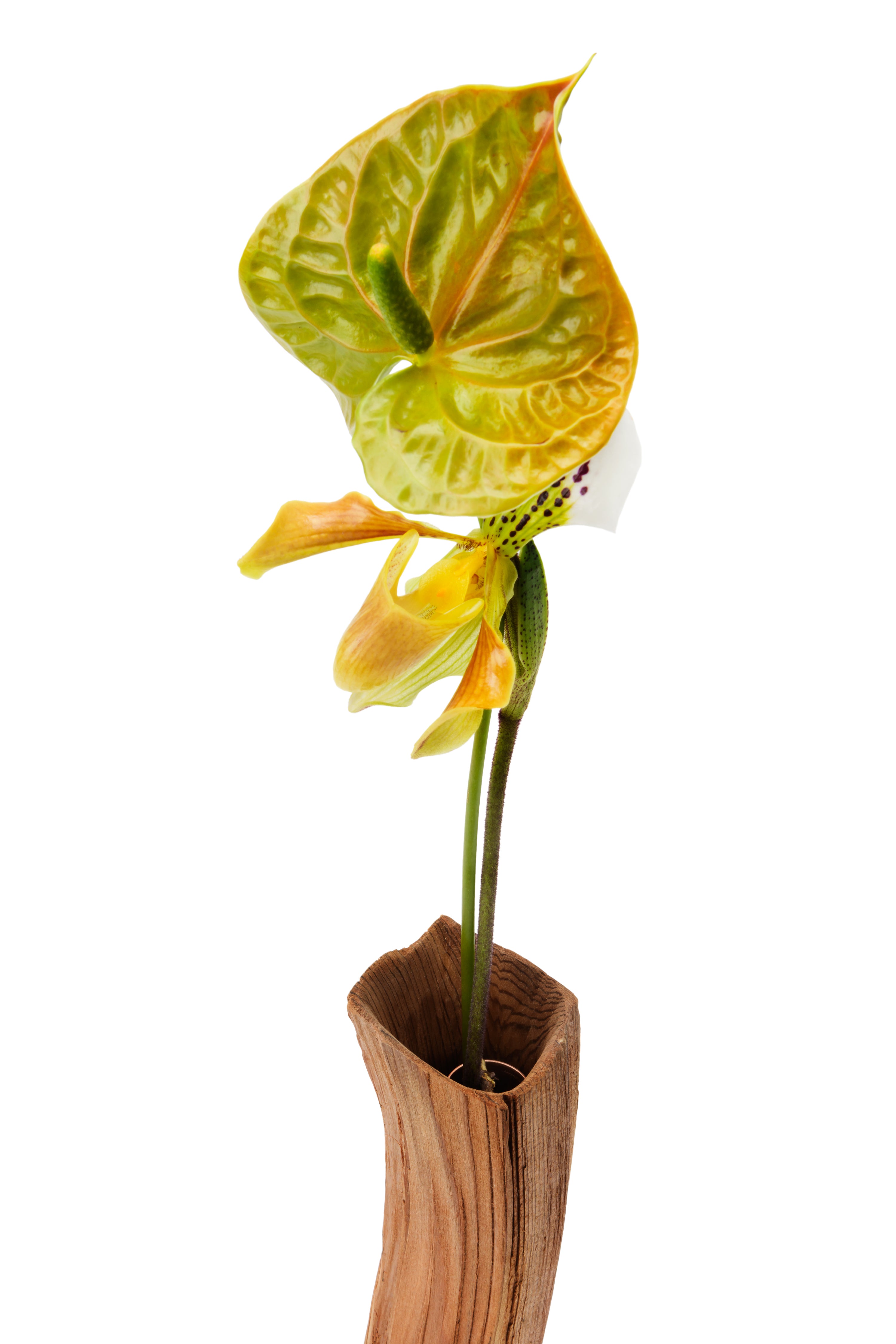 中川周士 -Yorishiro花入 小-