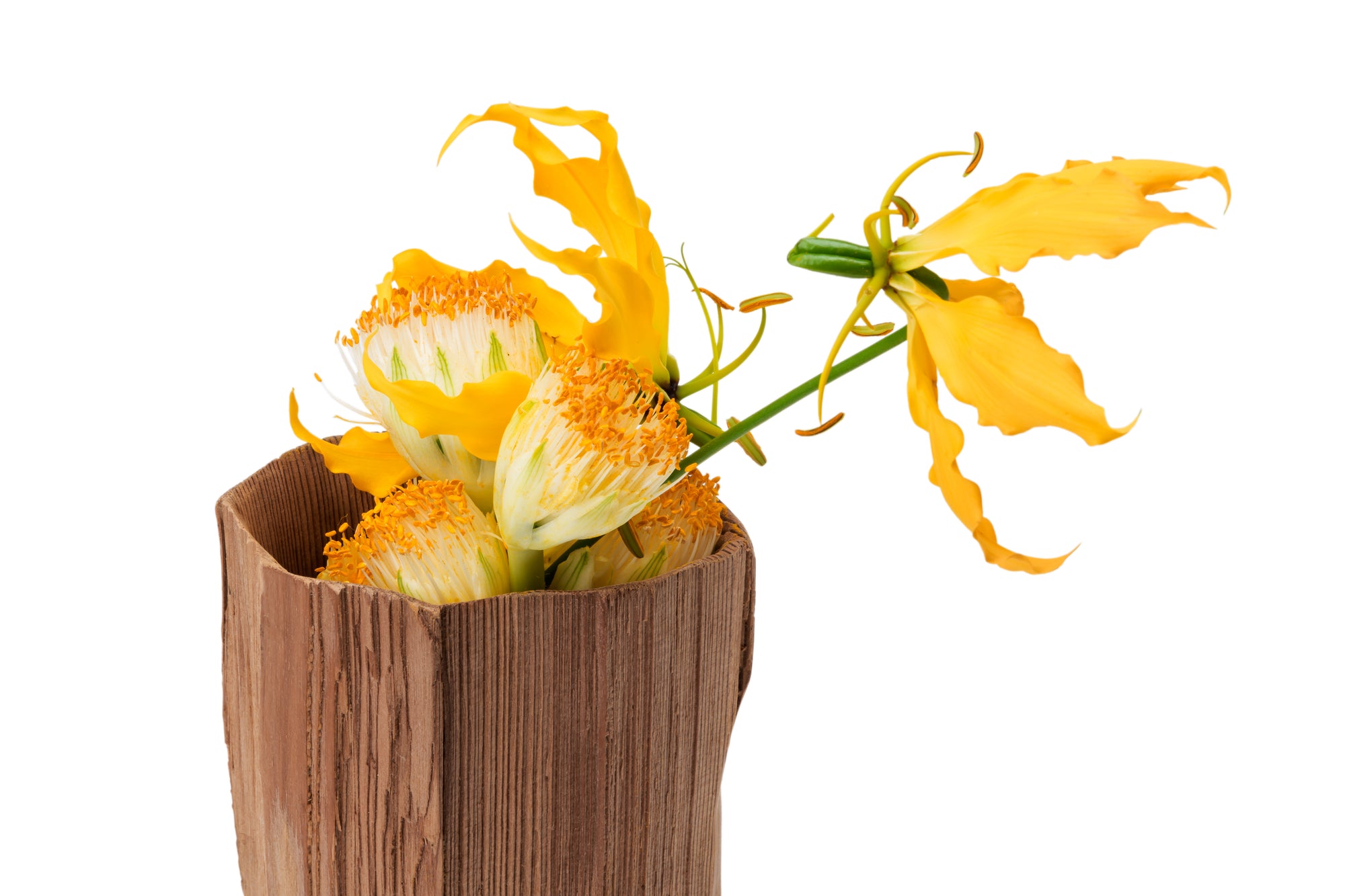 Shuji Nakagawa -Yorishiro Flower Vase Middle-