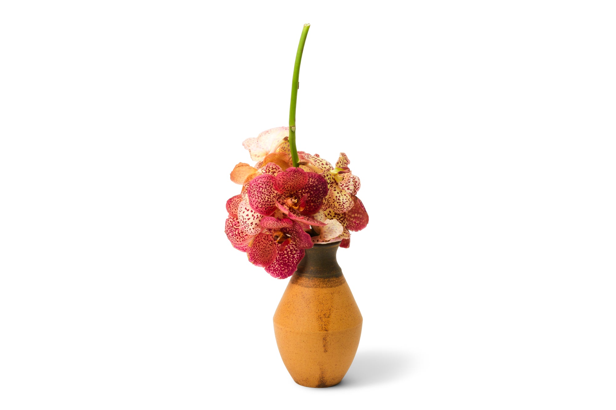 Kei Condo -Flower vase 6-