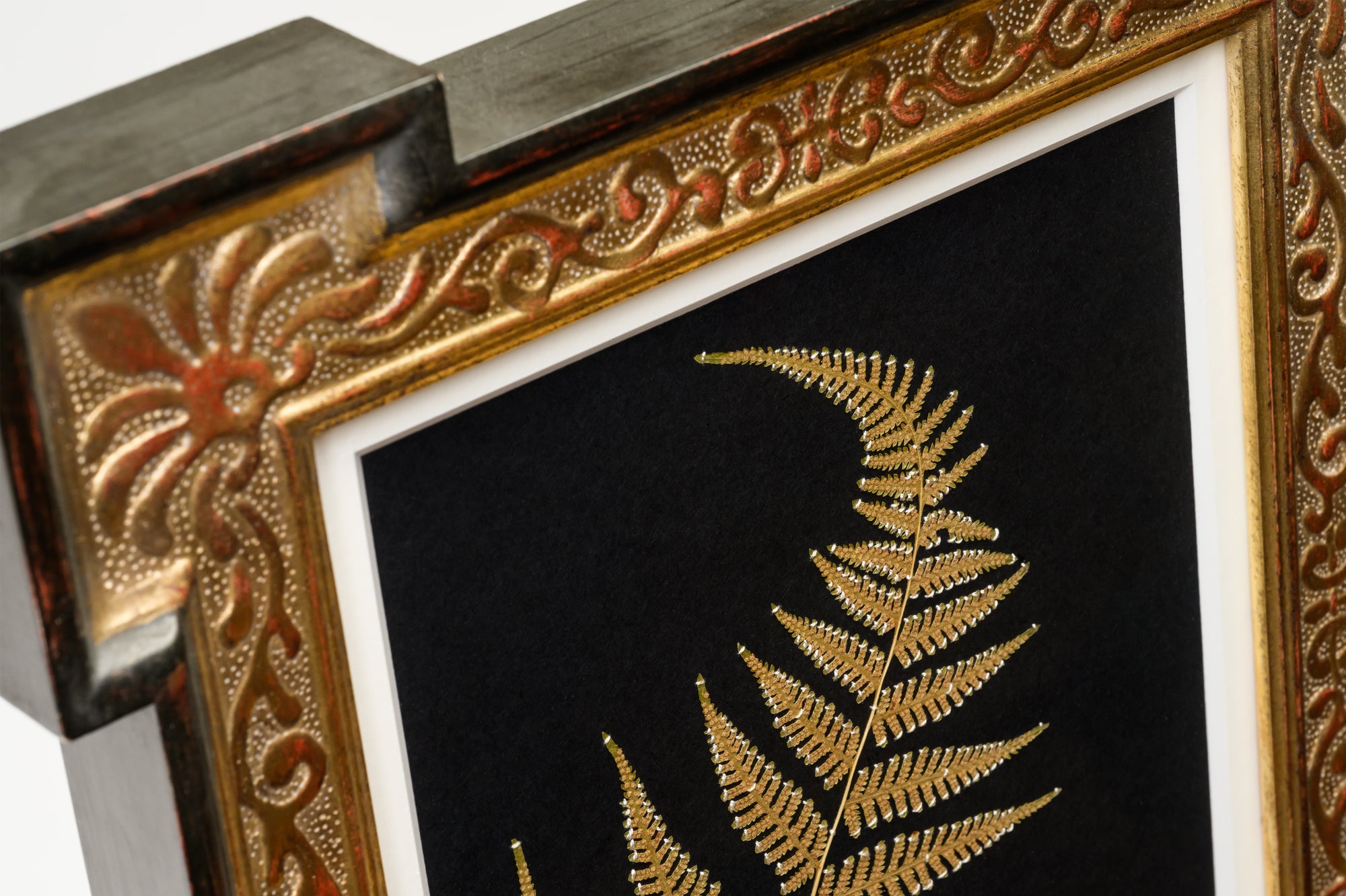 Tagotto/Fukano Natsu × Kurogane Frame/MAYO YOSHIDA - Weed Specimen Frame -