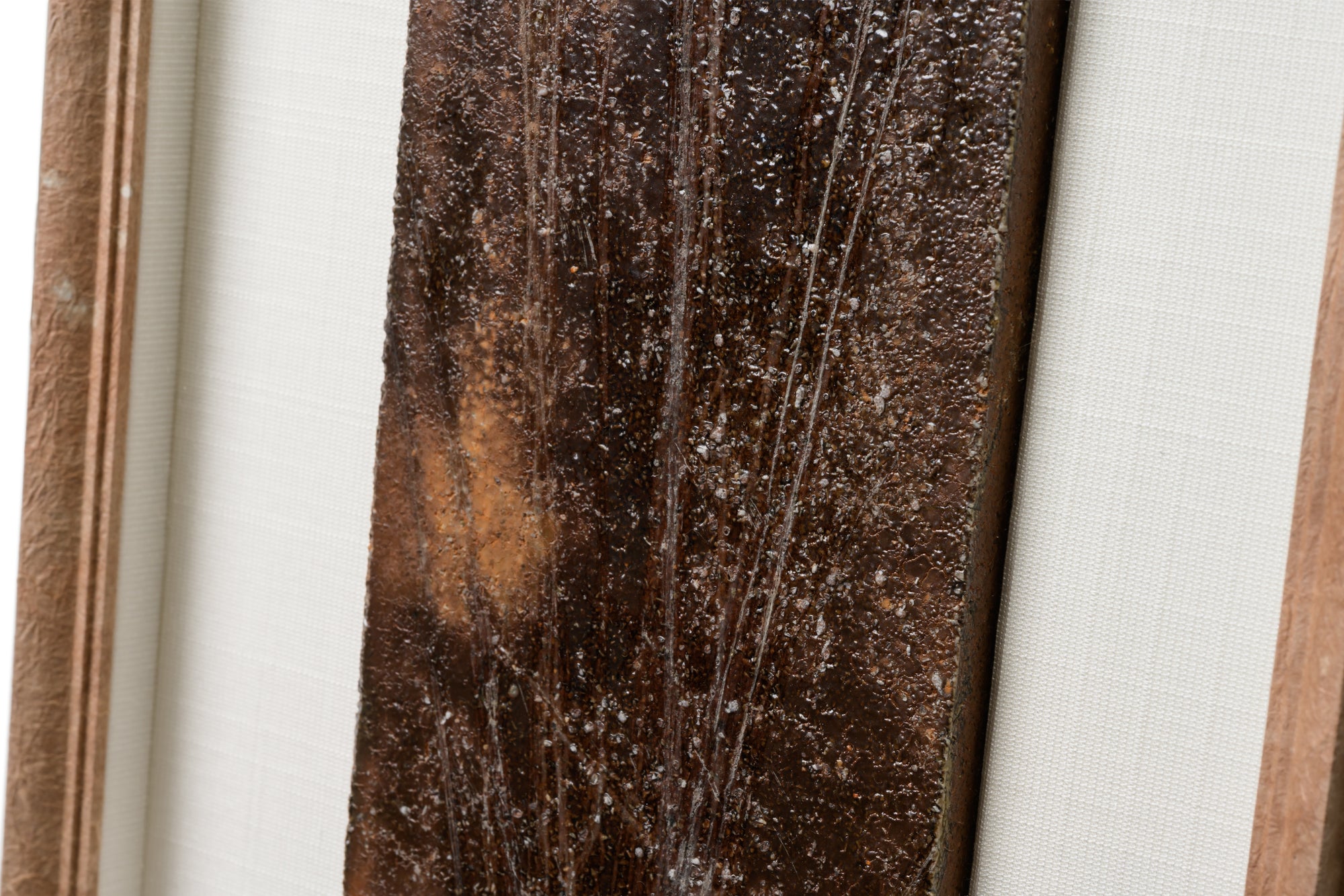 MONO-SOLUM 105 -Takashi Takahara-