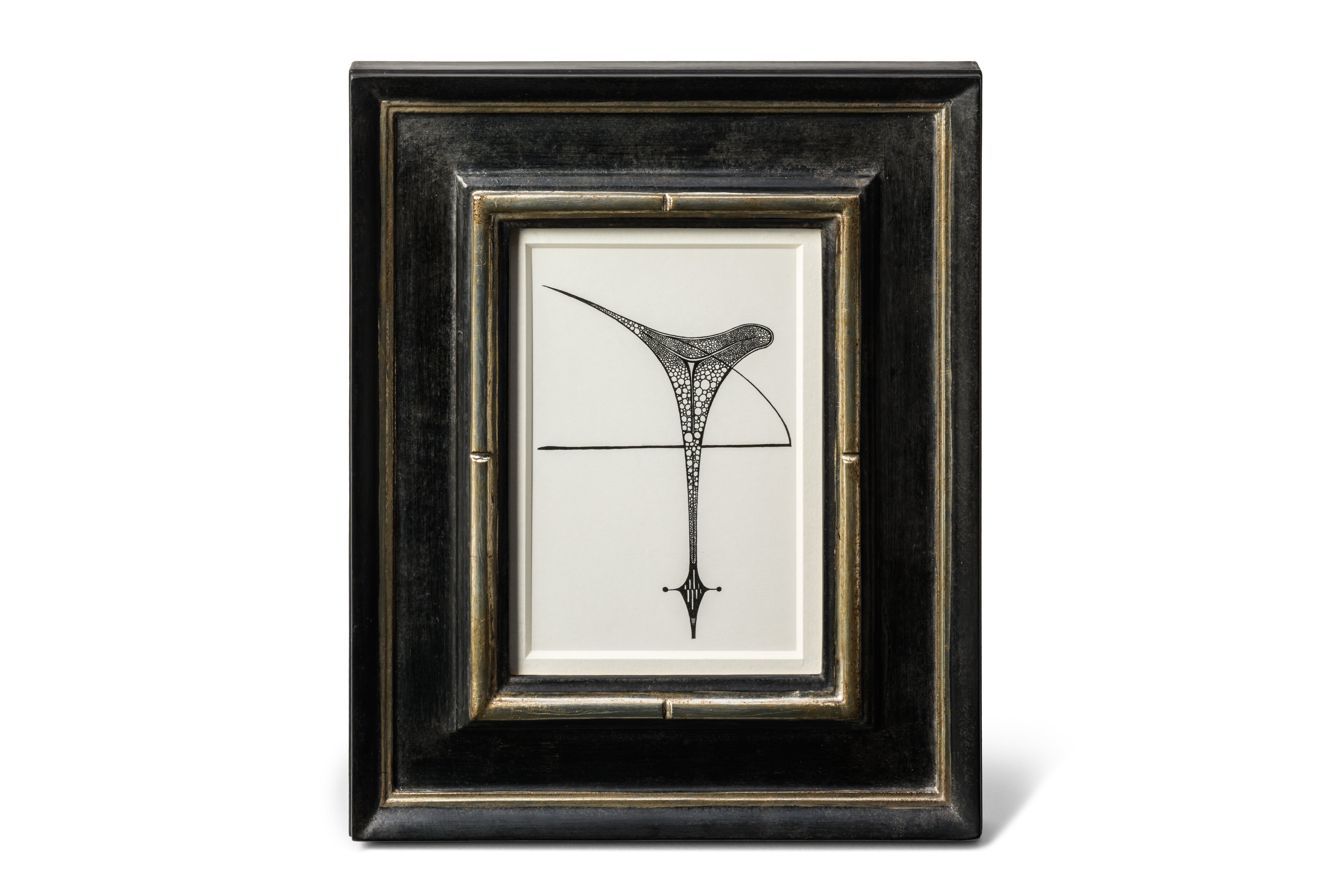 川本社彦×kurogane Frame-Präparat series-