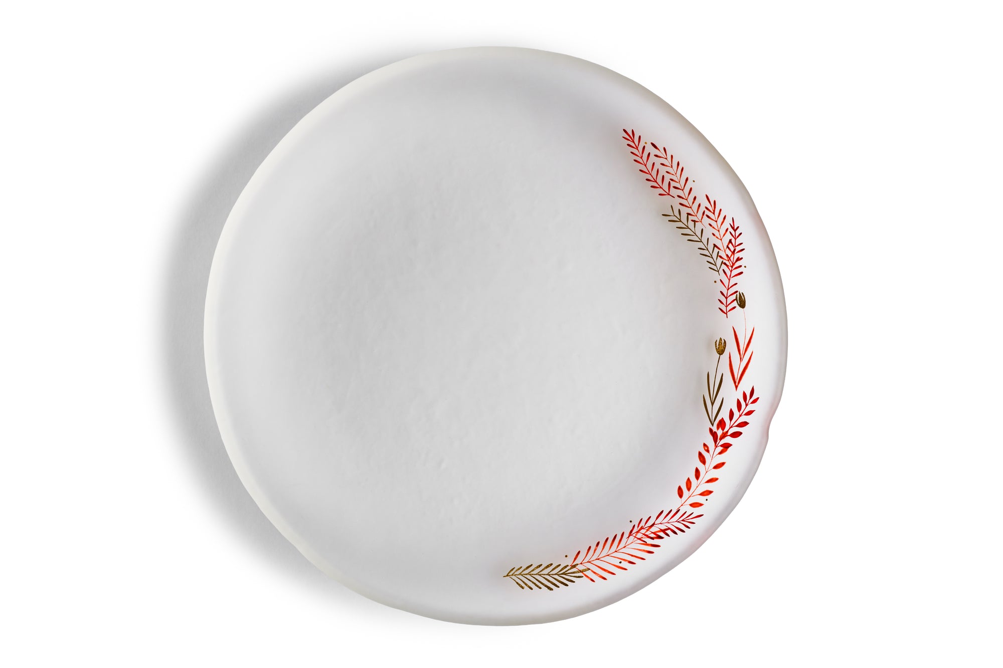 Nagomi Fujita - dish -