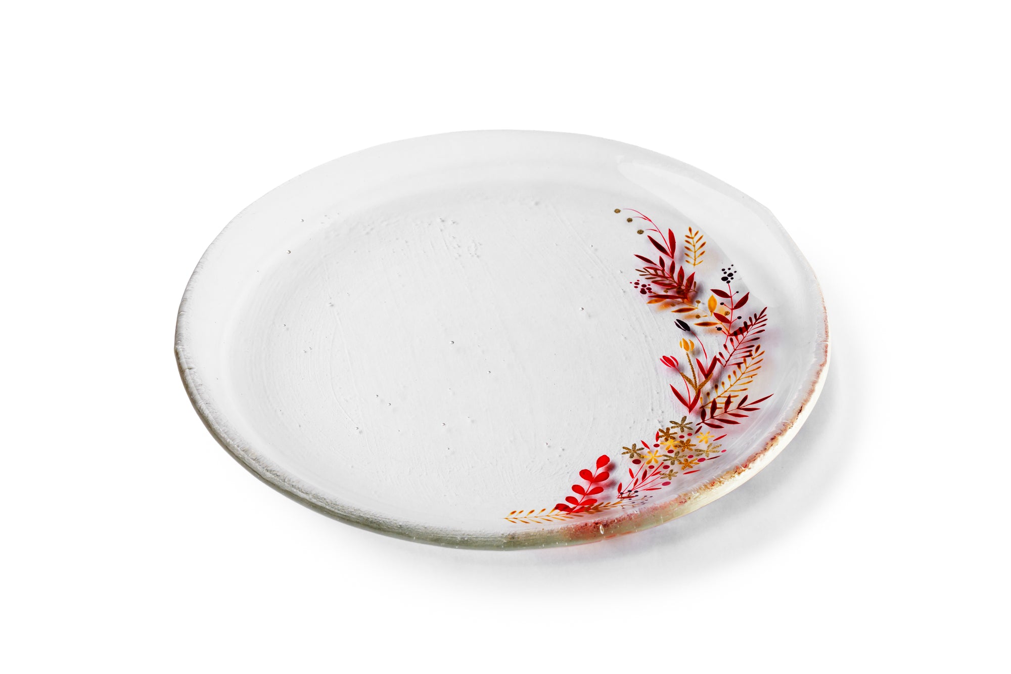 Nagomi Fujita - dish -