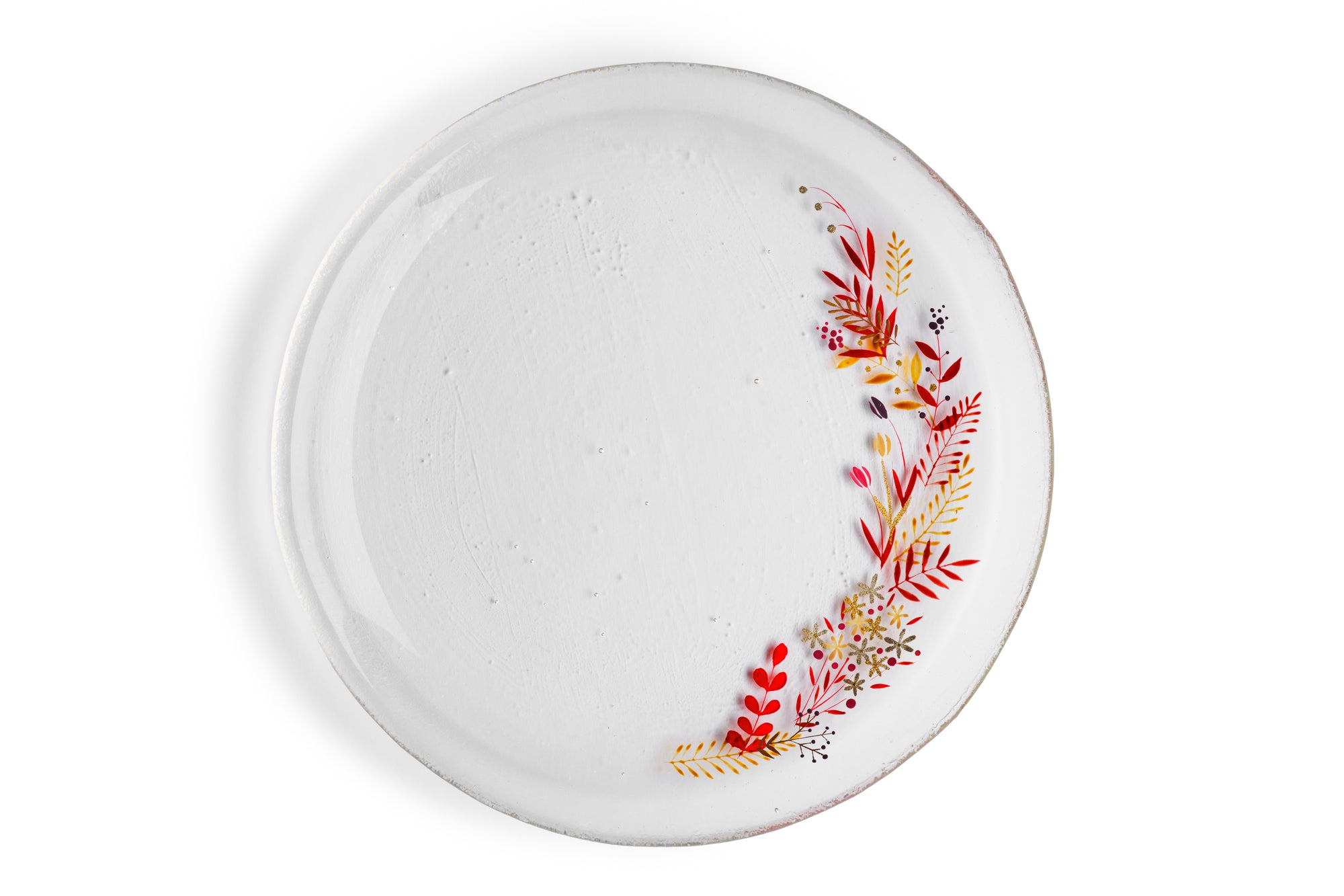 Nagomi Fujita - dish -