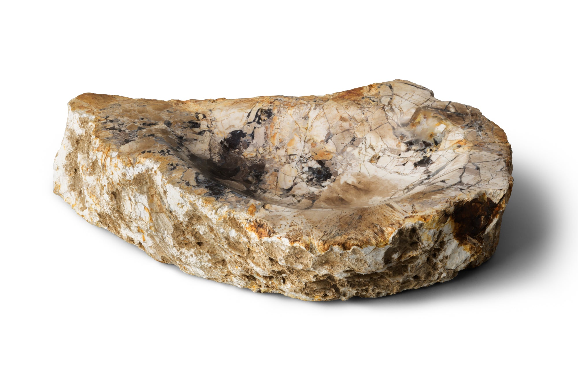 Petrified Wood -Tray１-