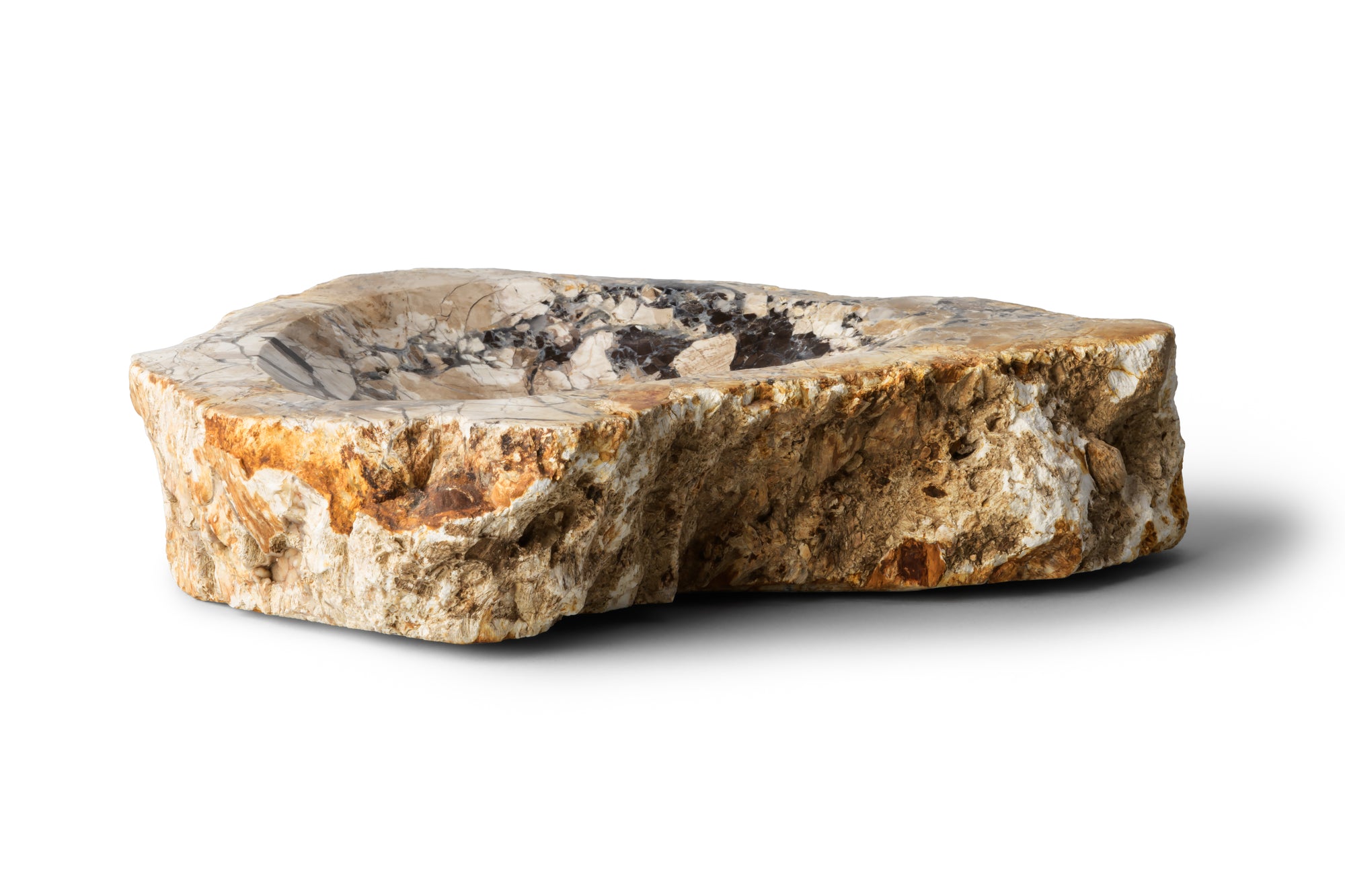 Petrified Wood -Tray１-