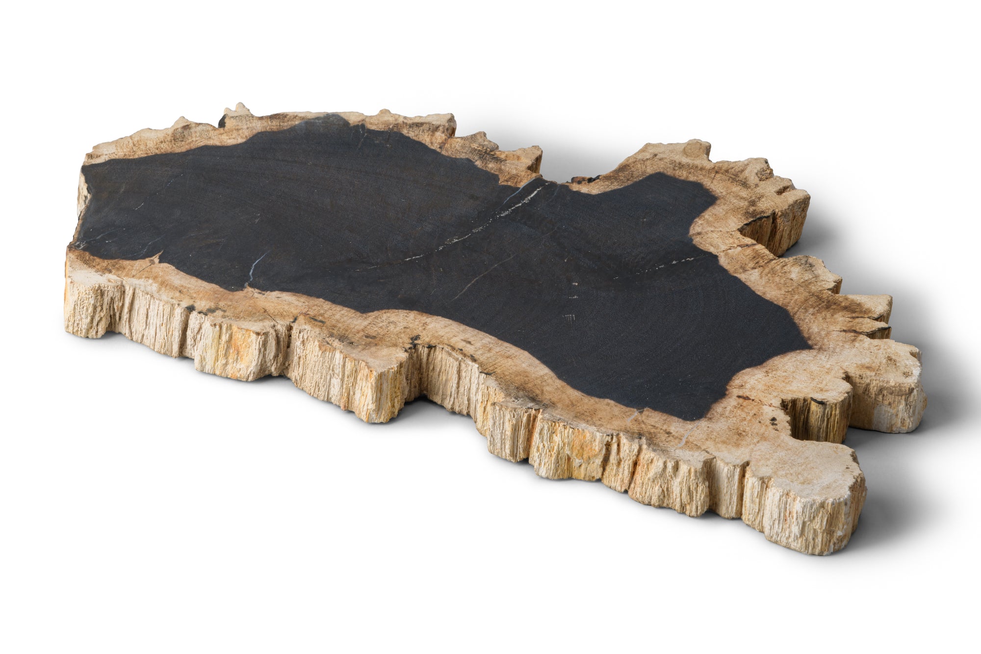 Petrified Wood -Wood Plate-