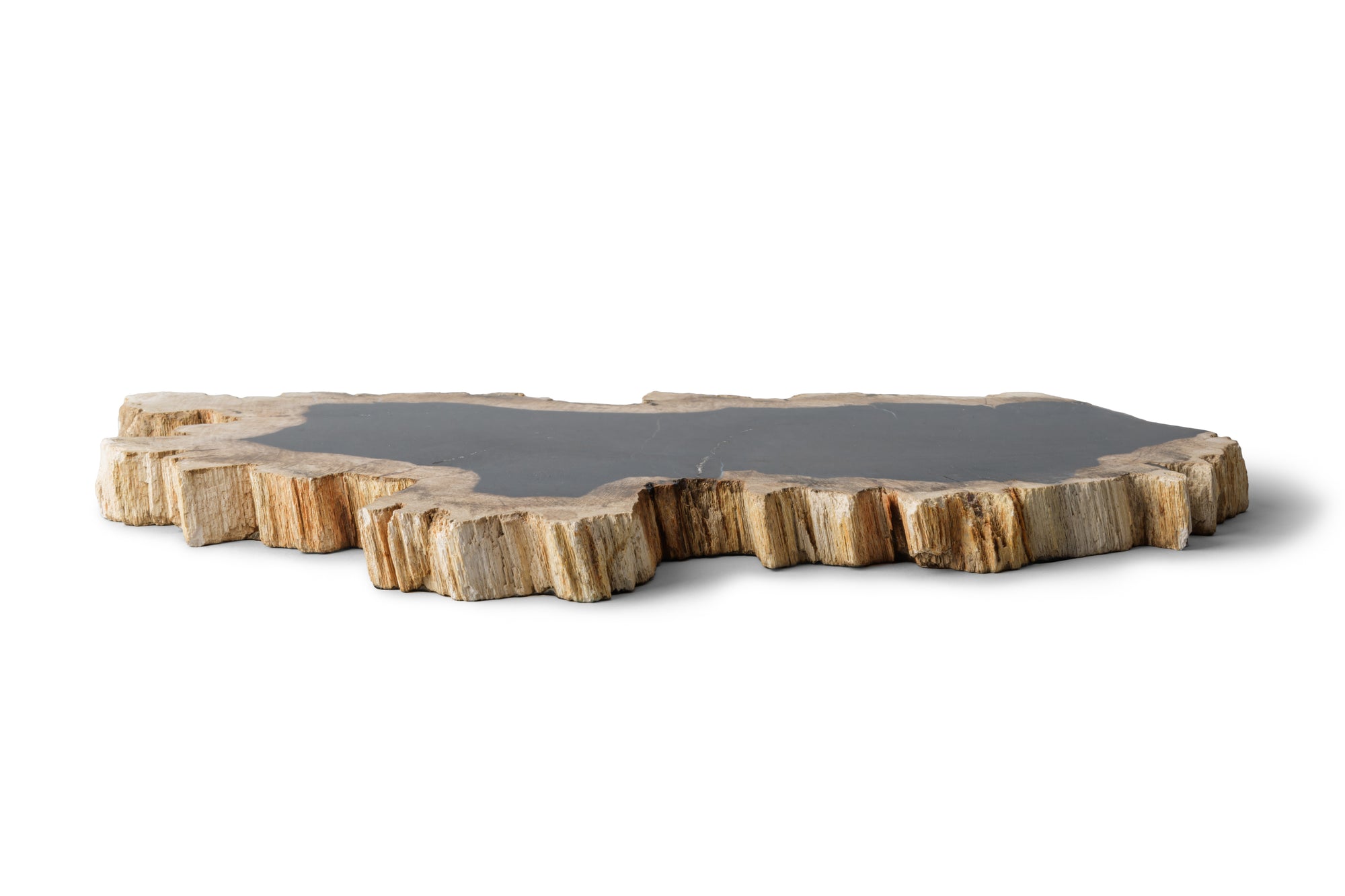 Petrified Wood -Wood Plate-