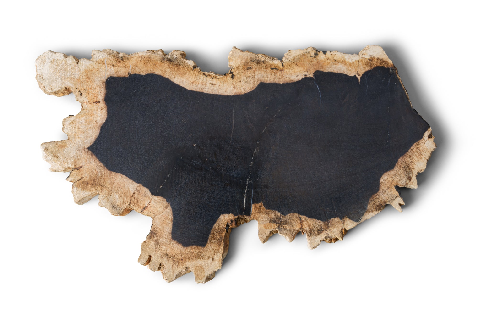 Petrified Wood -Wood Plate-