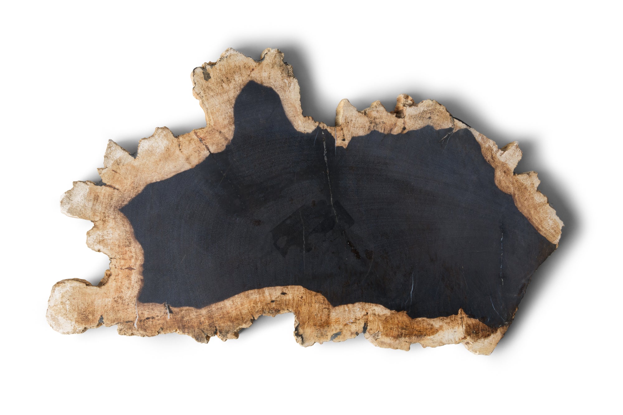Petrified Wood -Wood Plate-