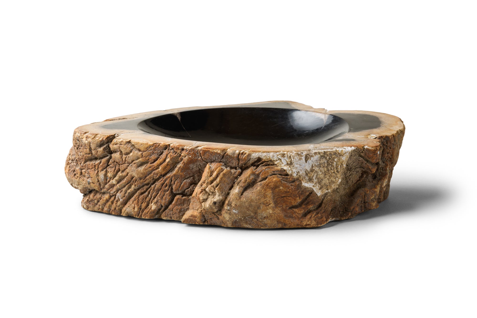 Petrified Wood -Tray３-