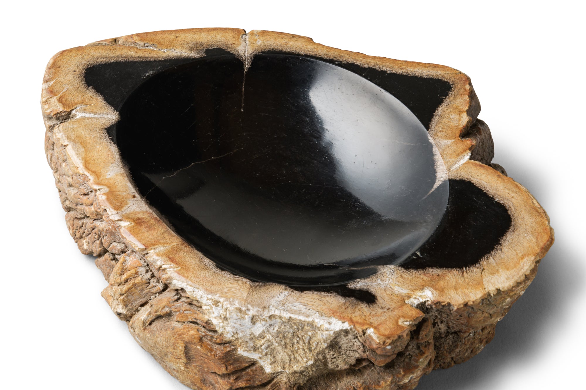 Petrified Wood -Tray３-