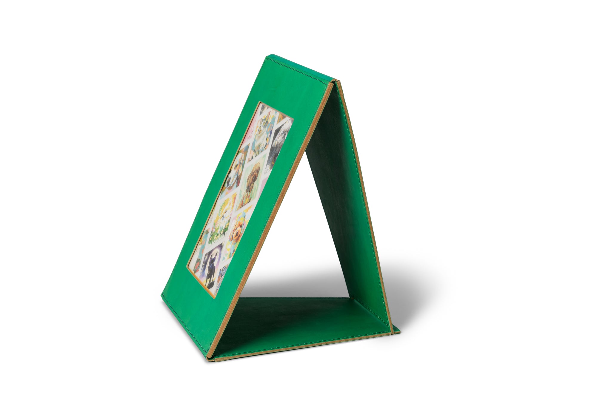 brown's supply -Photoframe Color GREEN featuring Yusuke Igumi-