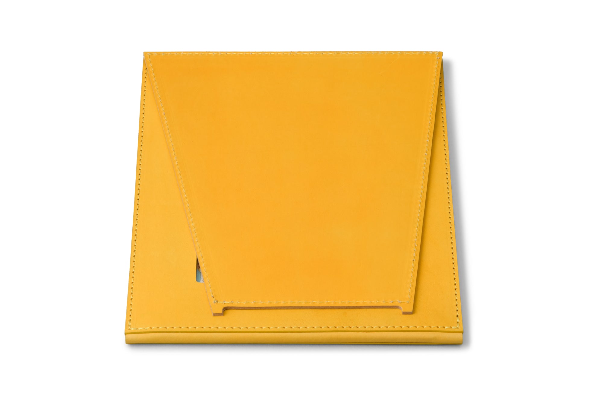 brown's supply -Photoframe Color YELLOW featuring Igumi Yusuke-